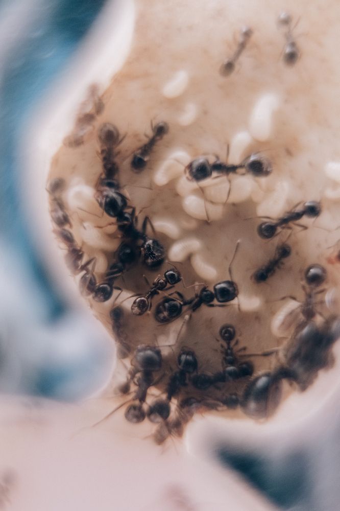 Photograph by Екатерина Бердутина