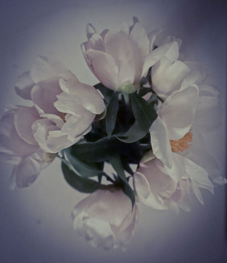 Photograph by Елена Гусева