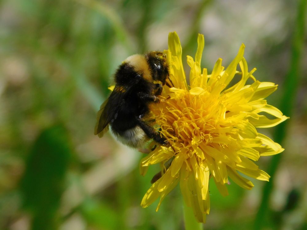 Photograph by Оксана Демидова