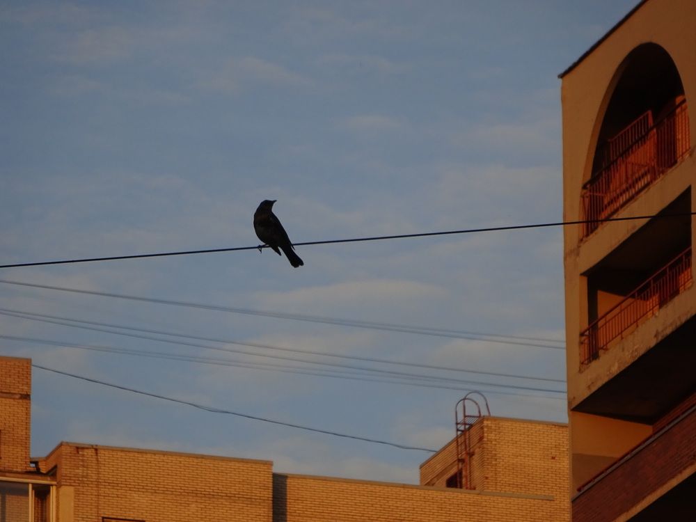 Photo #12280378