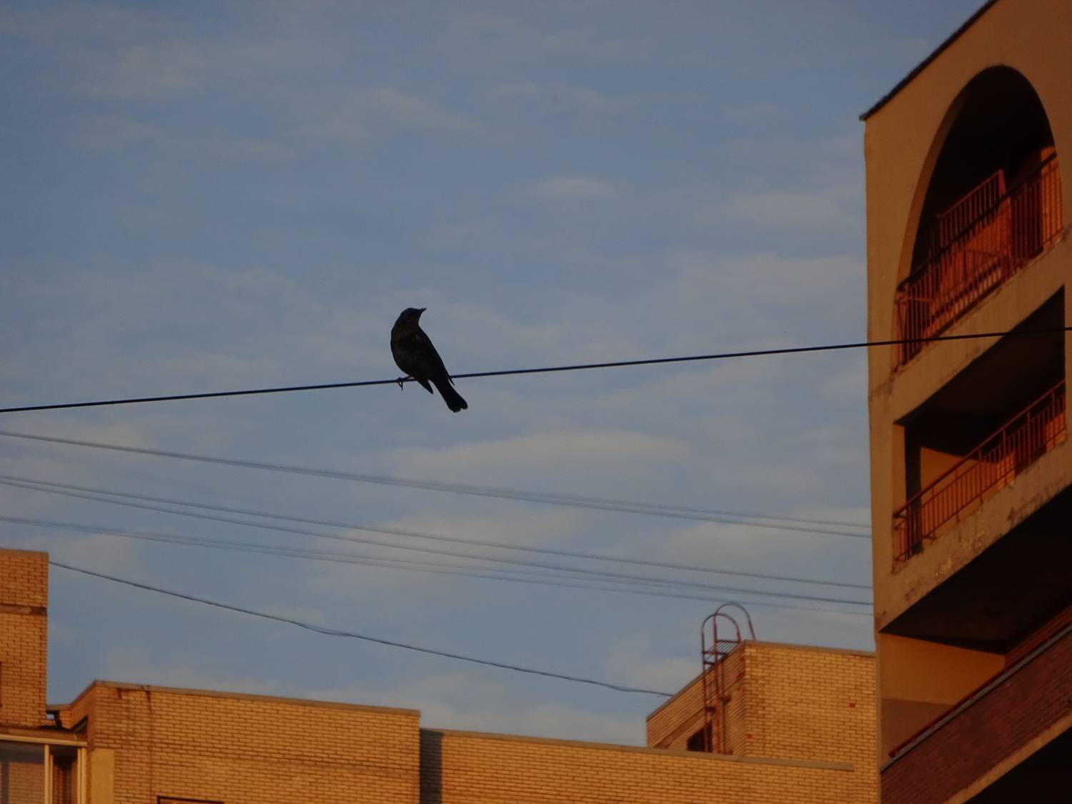 Photo #12280378