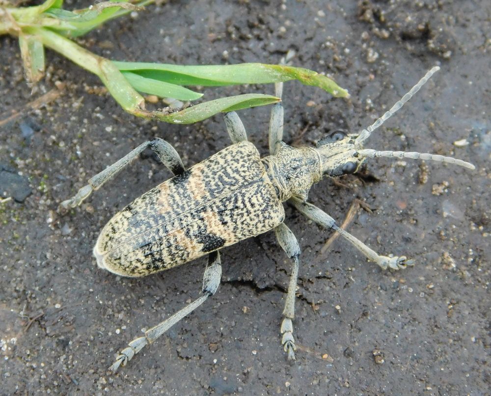 Photograph by Оксана Демидова