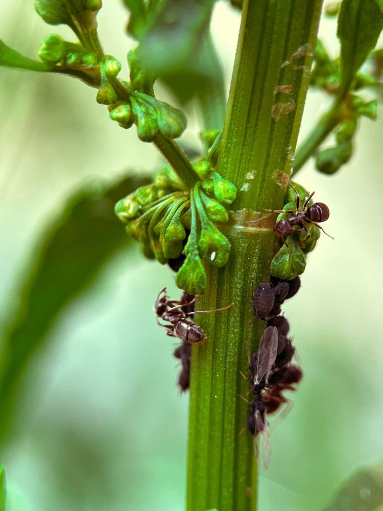 Photograph by Елена Михалева
