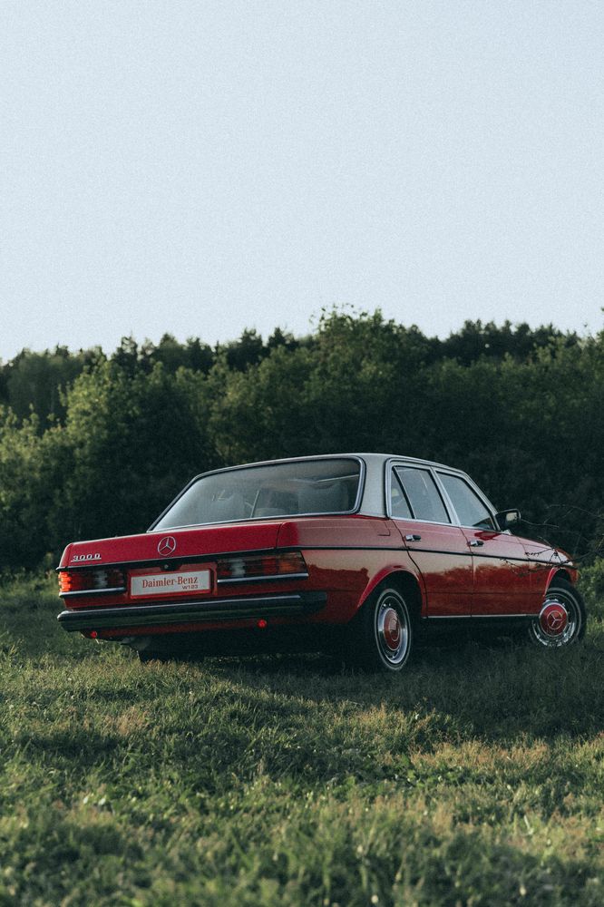 Photograph by Сергей Антонов