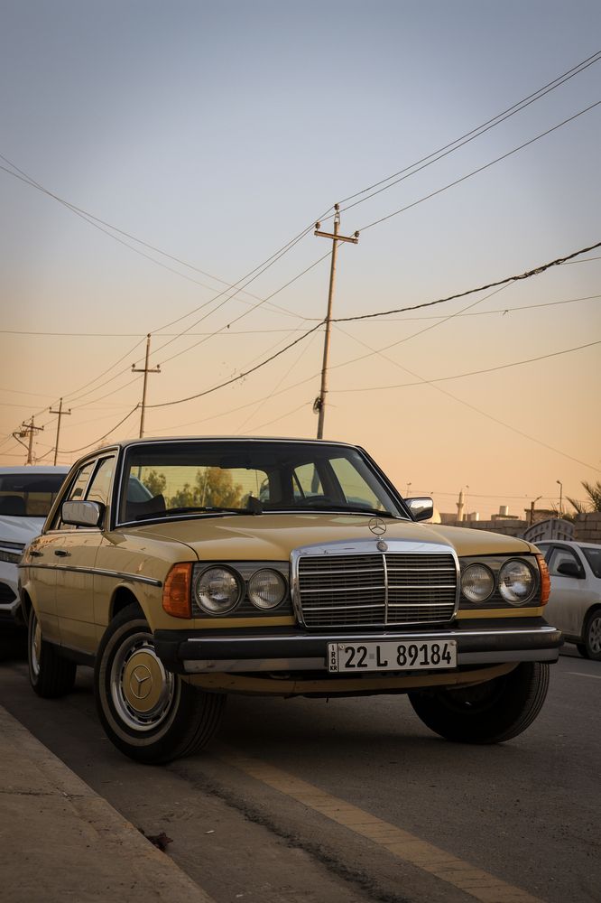 Photograph by Abdalrhman Alhashme