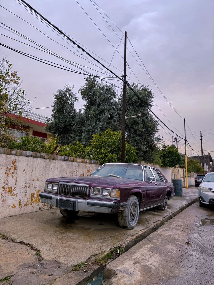 Photograph by Abdalrhman Alhashme