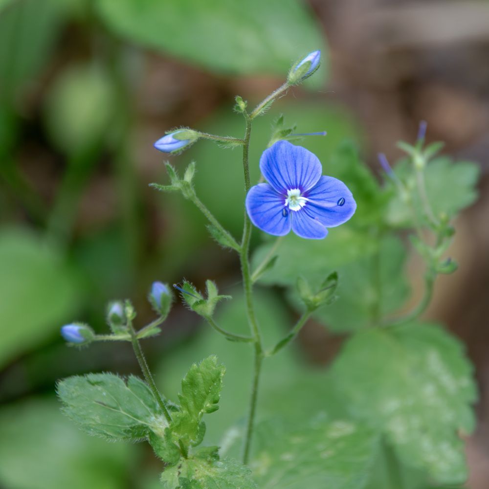 Photograph by Валерий Петухов