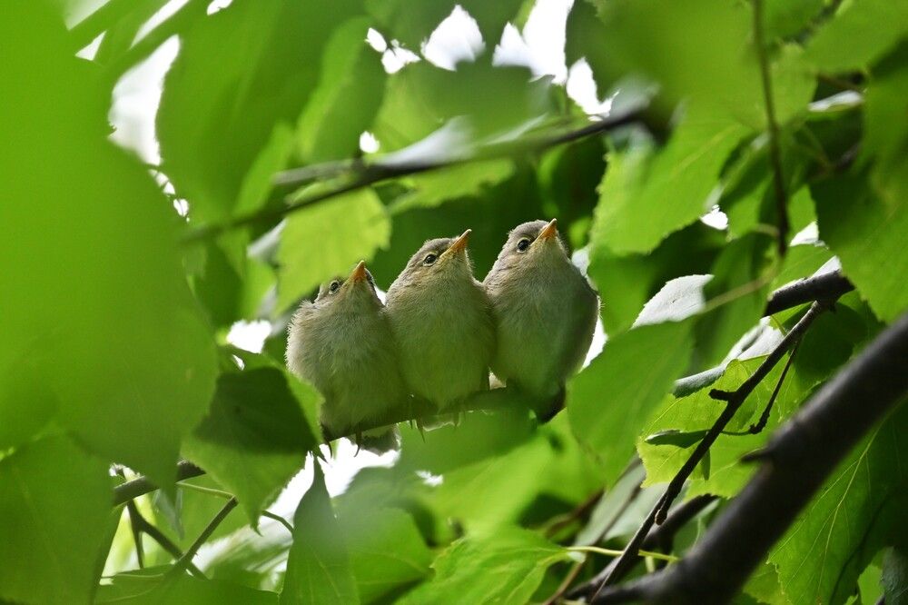 Photograph by IRINA FILIPPOVA