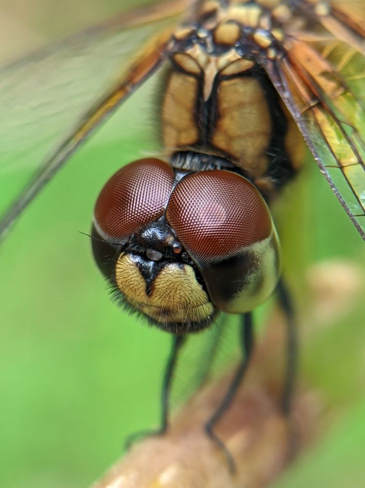 Photograph by Ameen Ahmed L