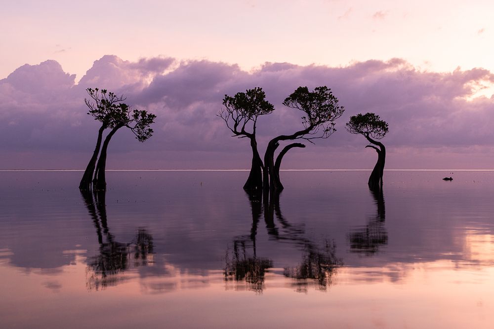 Photograph by Марина Маликова