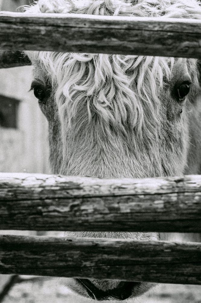 Photograph by Vadim Plekhanov