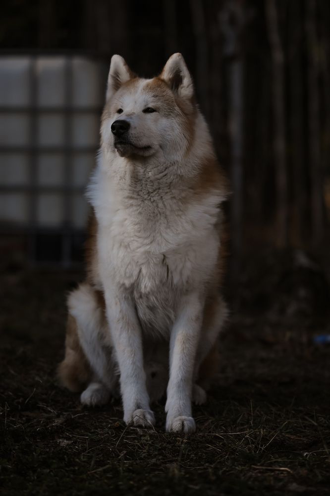 Photograph by Елизавета Шипулина