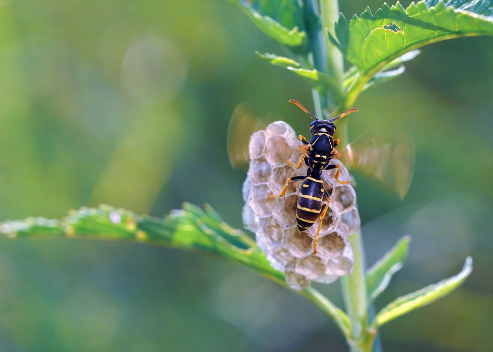 Photograph by Чепленко Алексей