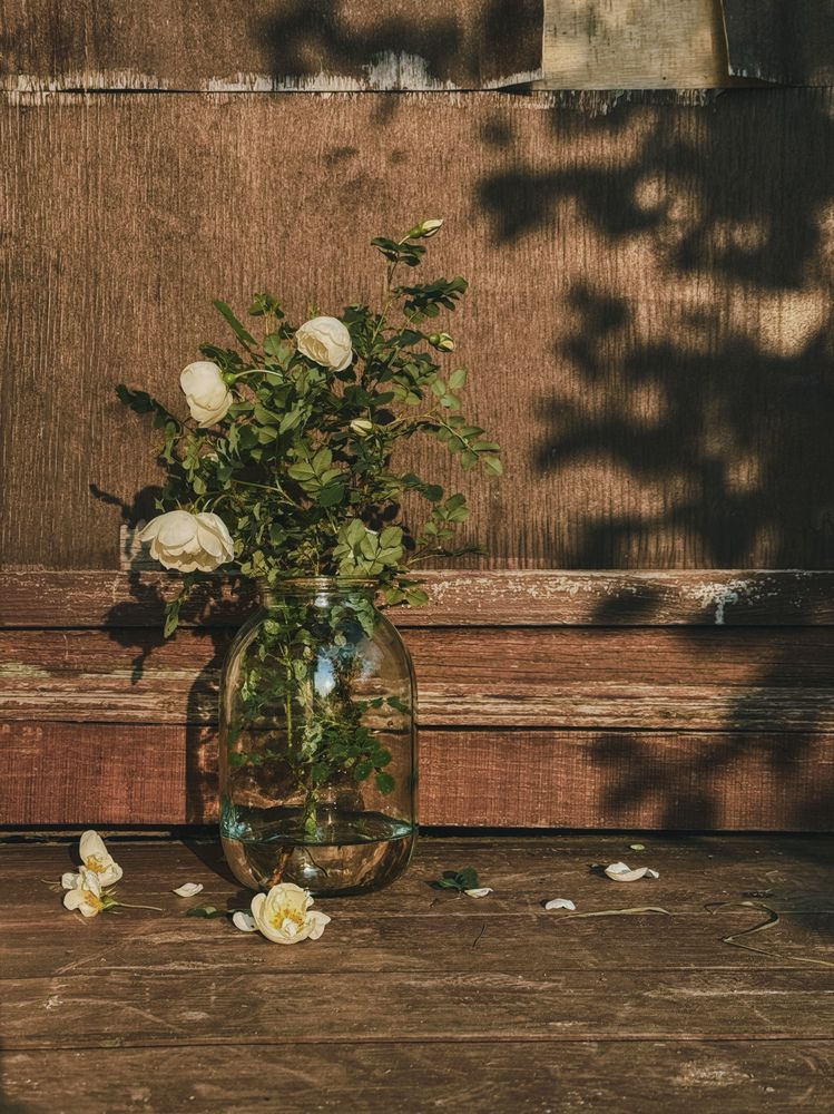 Фотография автора Евгения Никишина