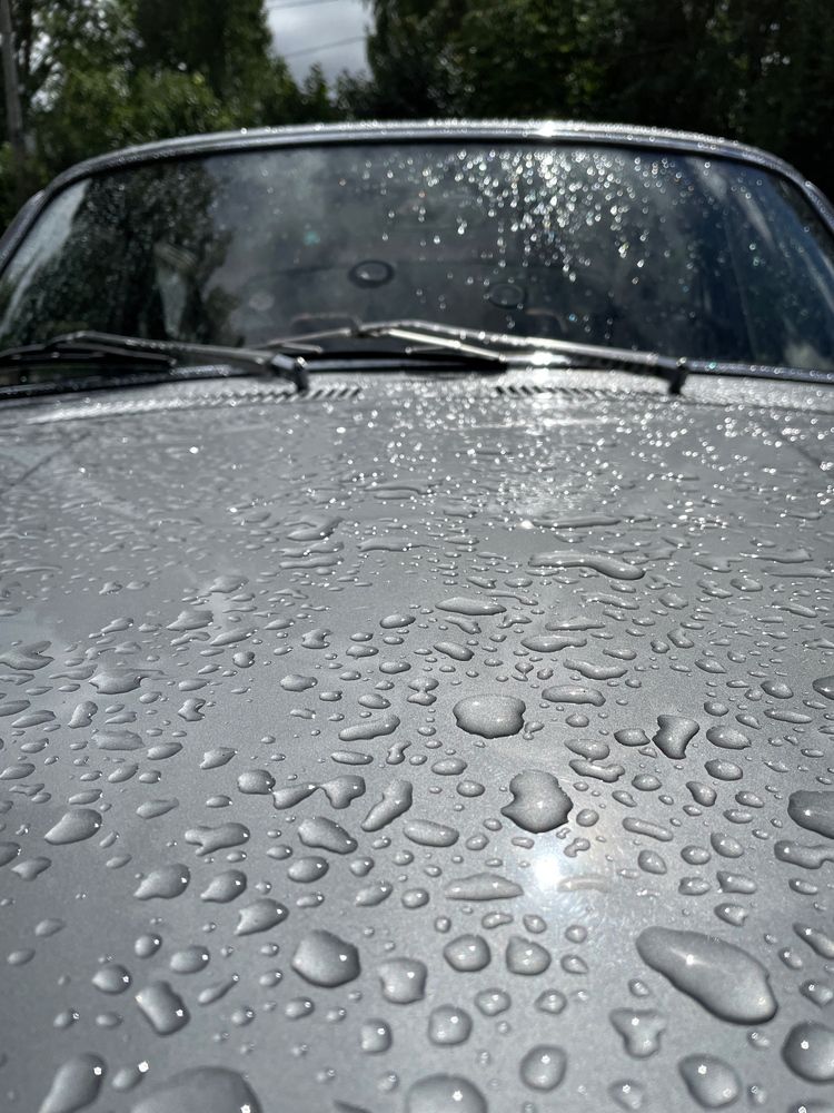 Photograph by Sergei Komlev