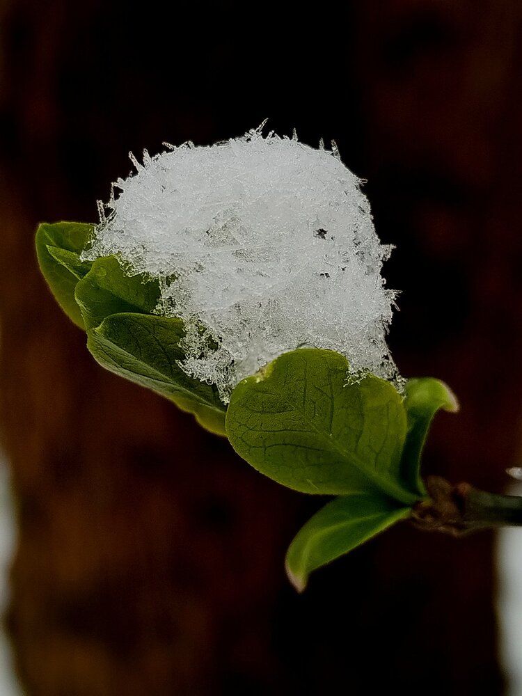 Photograph by Татьяна Солтан