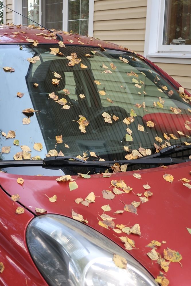 Photograph by Надежда Ткаченко