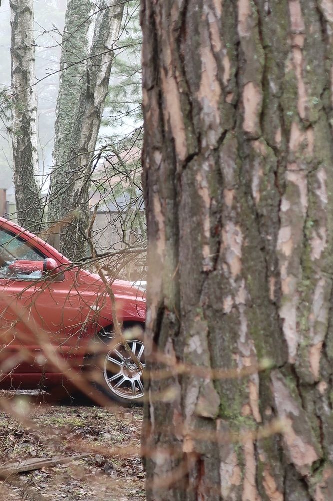 Photograph by Надежда Ткаченко