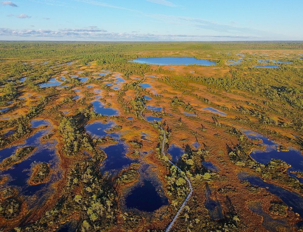 Болото Какердая. Эстония