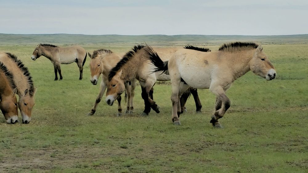 Photograph by Вадим Богатиков