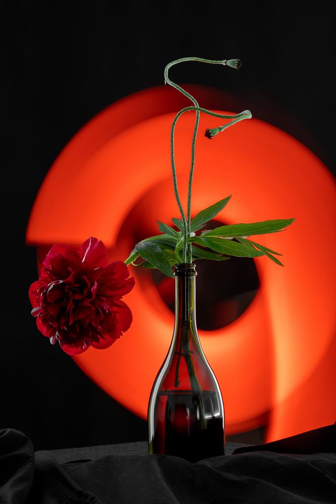 Photograph by Anna Viaznikova