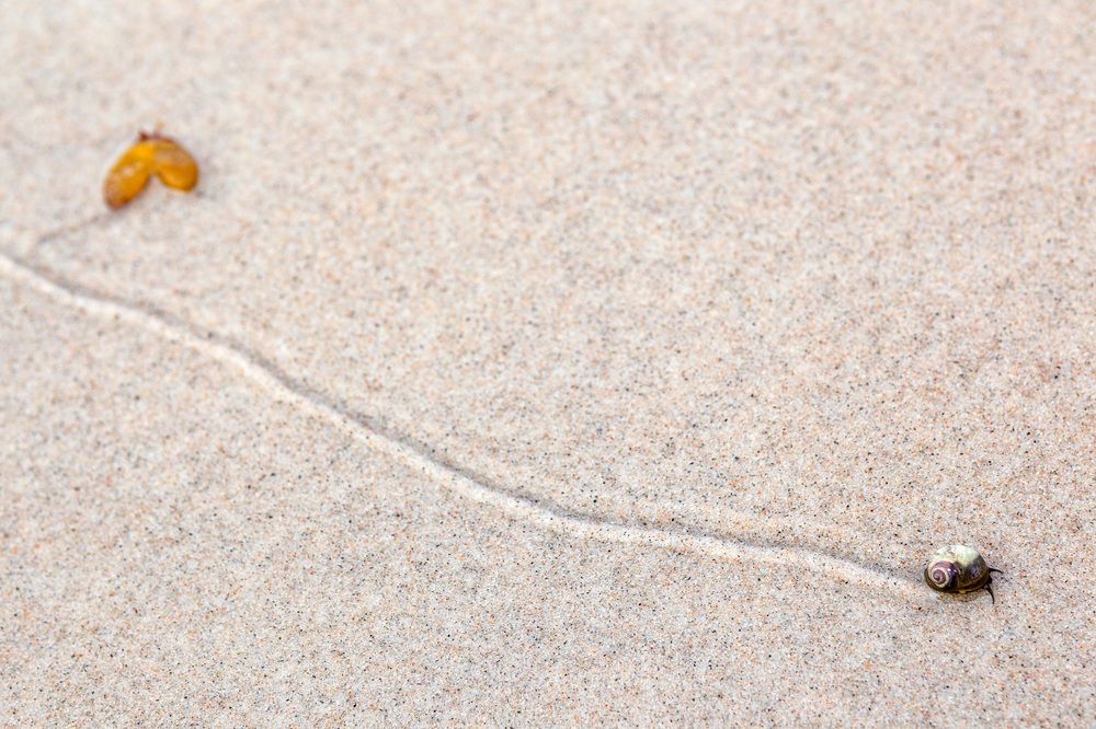 Photograph by ЕВГЕНИЙ ФАДИН