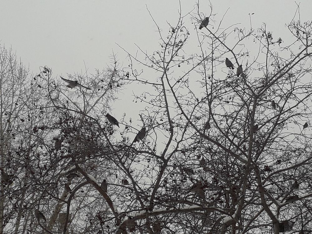 Photo #12281208