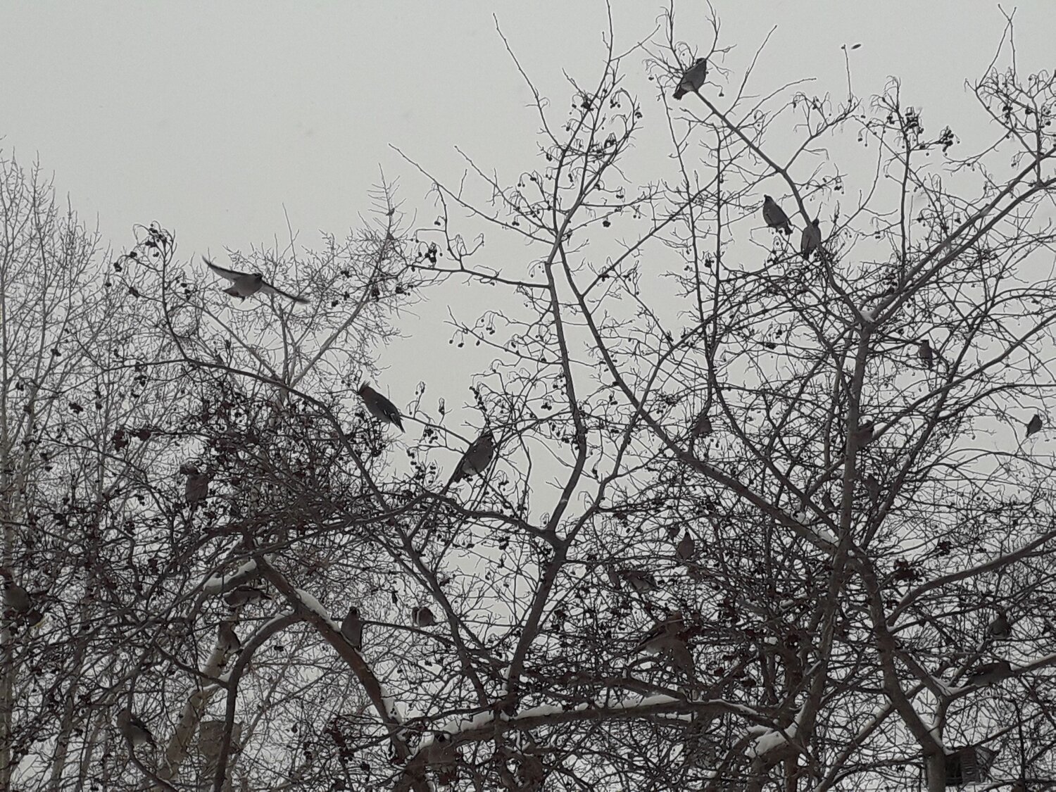 Photo #12281208