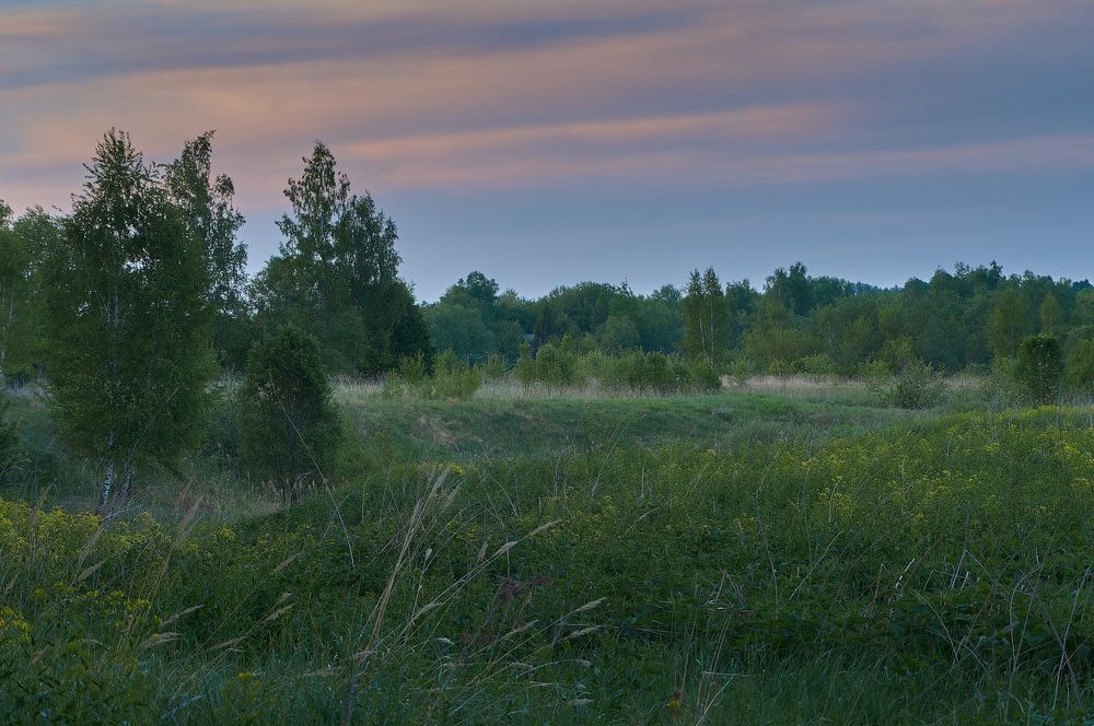 Photograph by Николай Михайлов