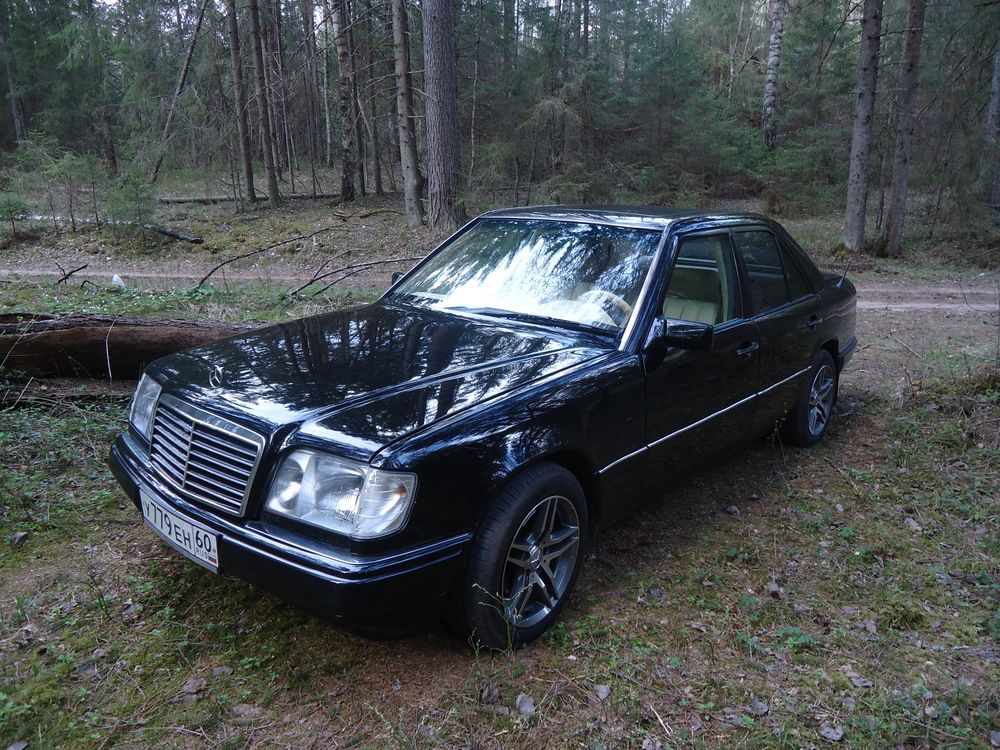 Photograph by Ирина Савельева