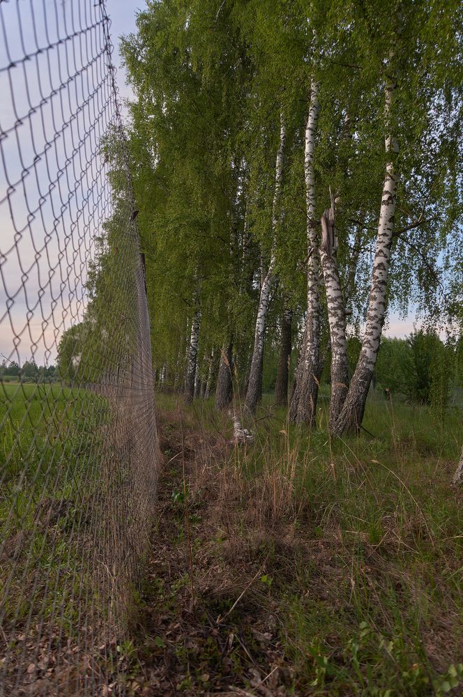 Photograph by Николай Михайлов