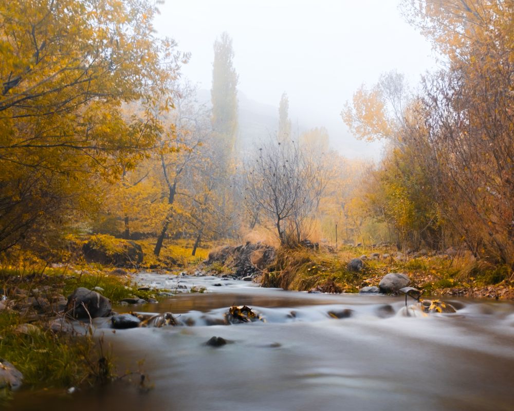 autumn landscape