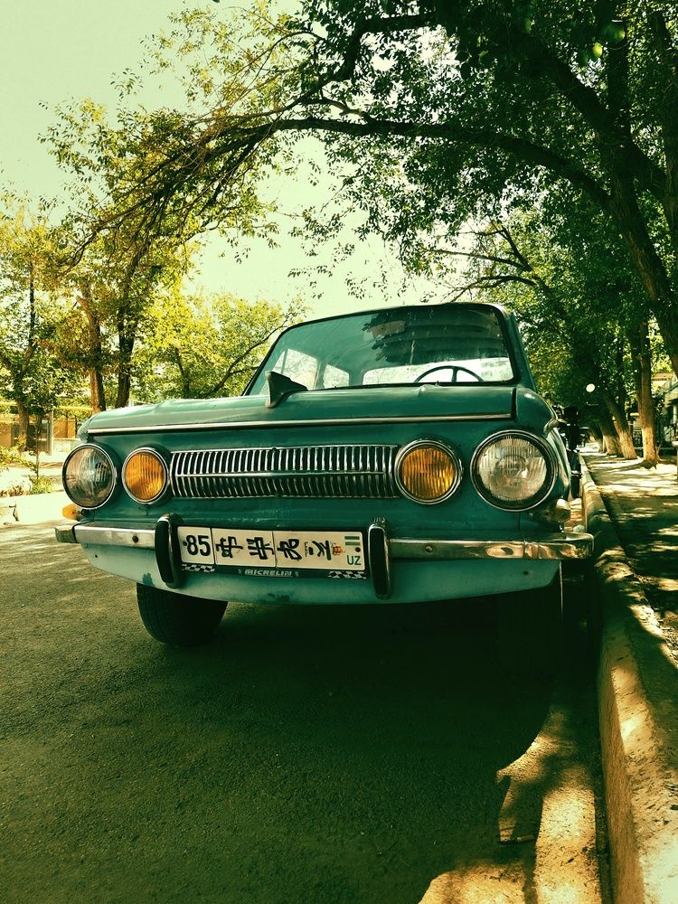 Фотография автора Elena Safarova