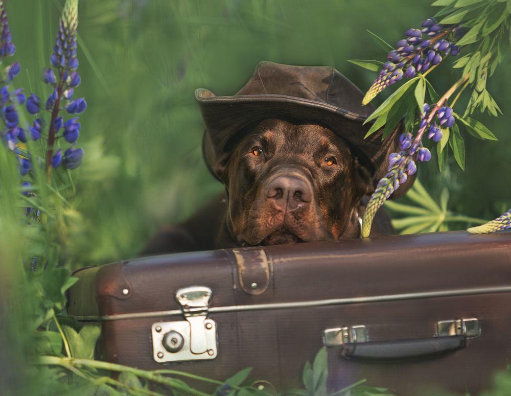 Photograph by Мария Клещенко