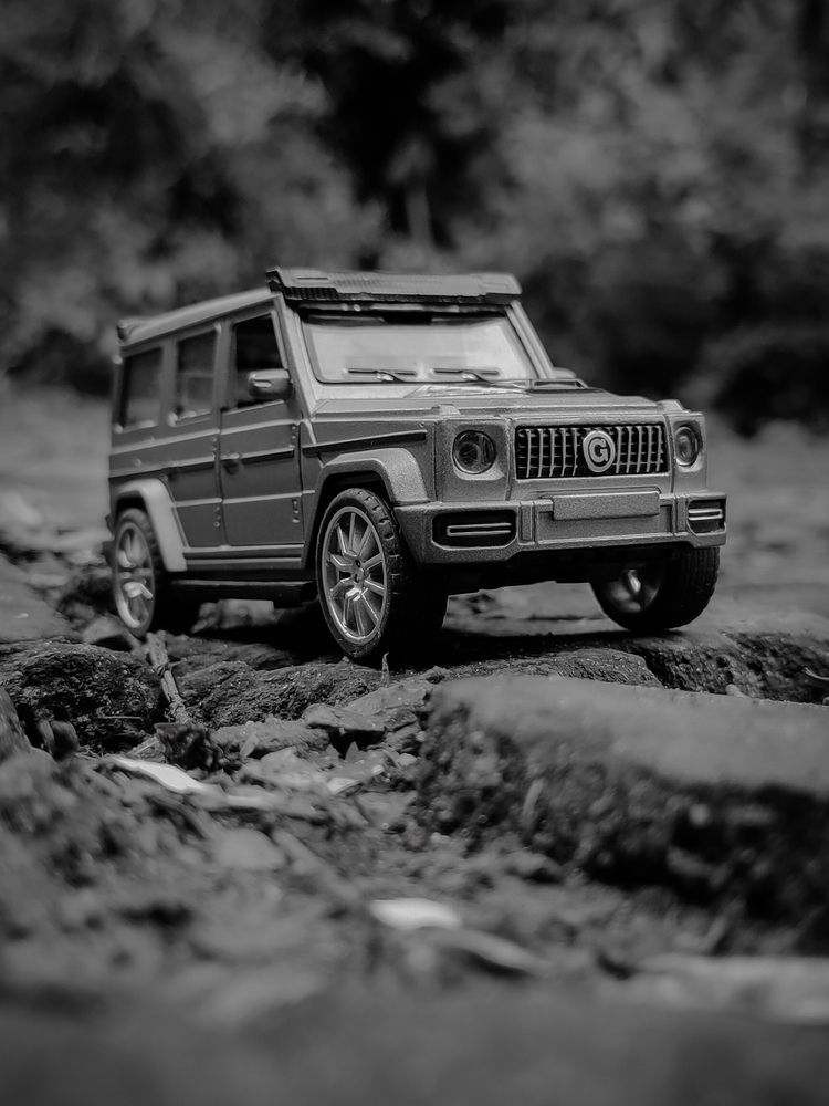 Photograph by Puru Raj