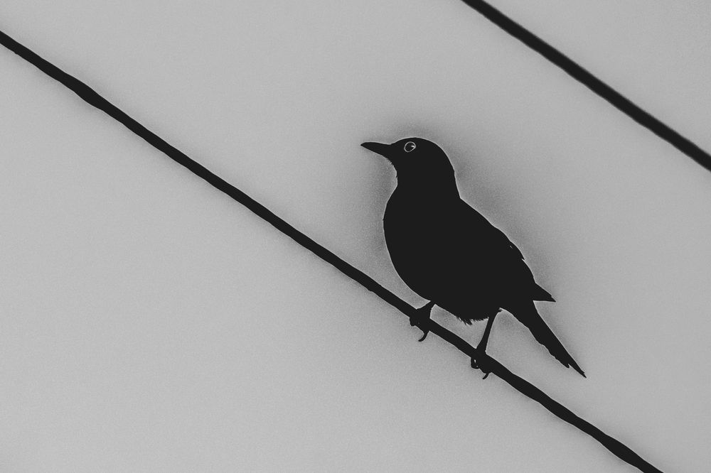 Photograph by Anastasia