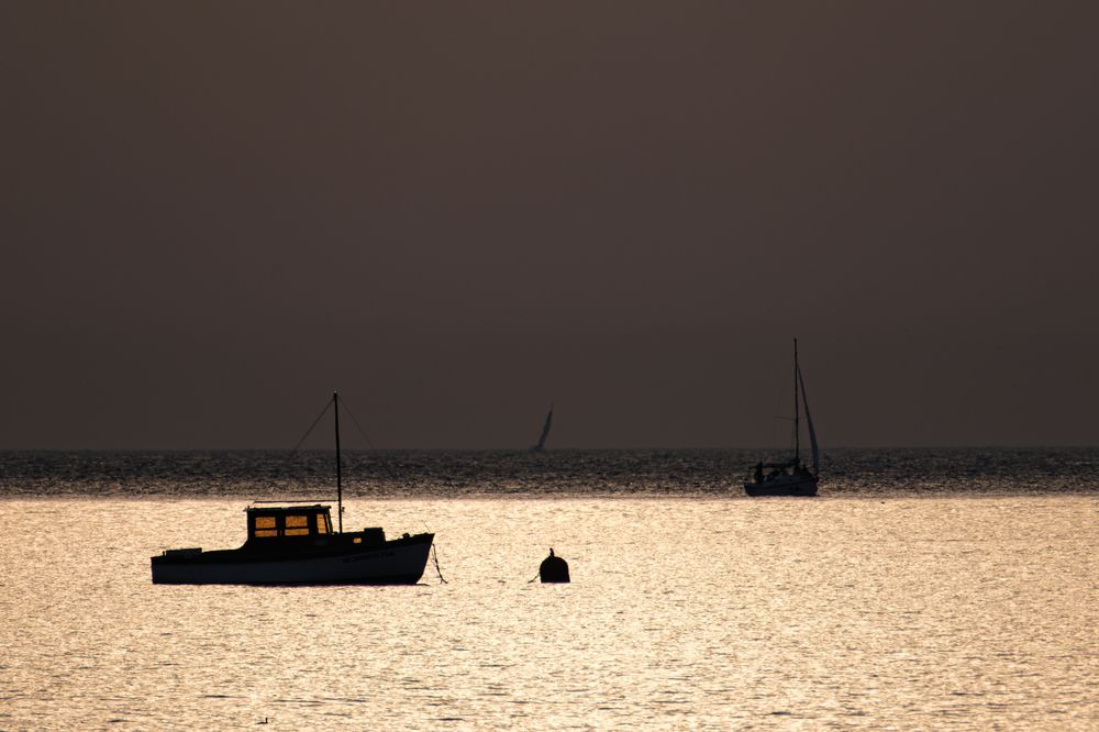 Photograph by Anastasia