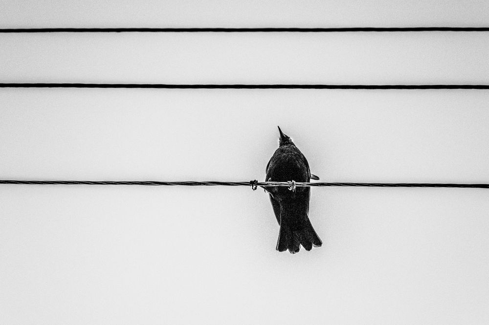 Photograph by Anastasia