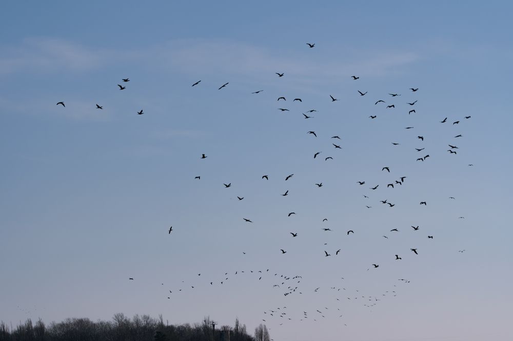 Photograph by Anastasia