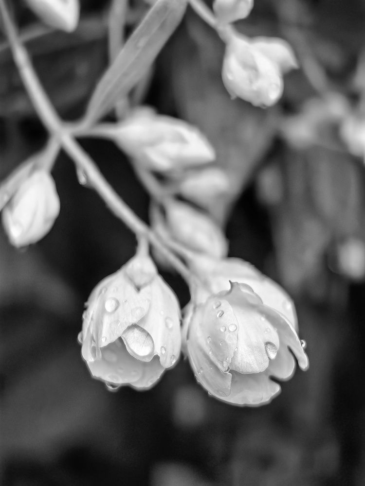 Photograph by Елена Акимова