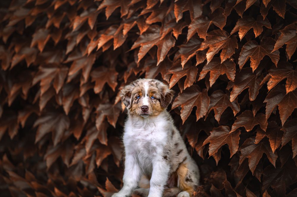 Photograph by Lucie Nermuťová