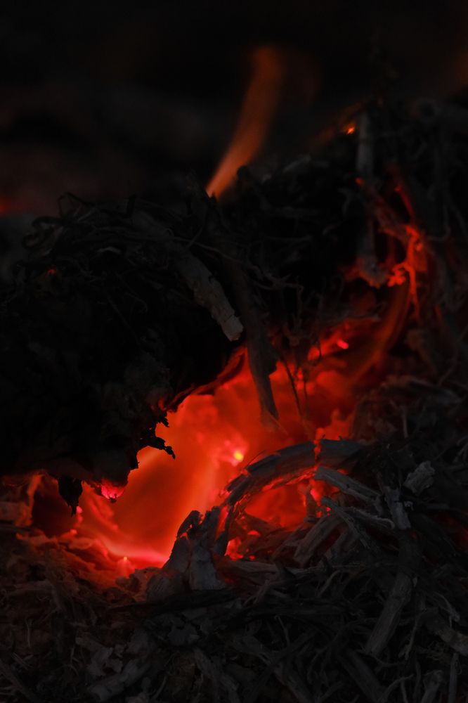 Фотография автора Александр Высоцкий