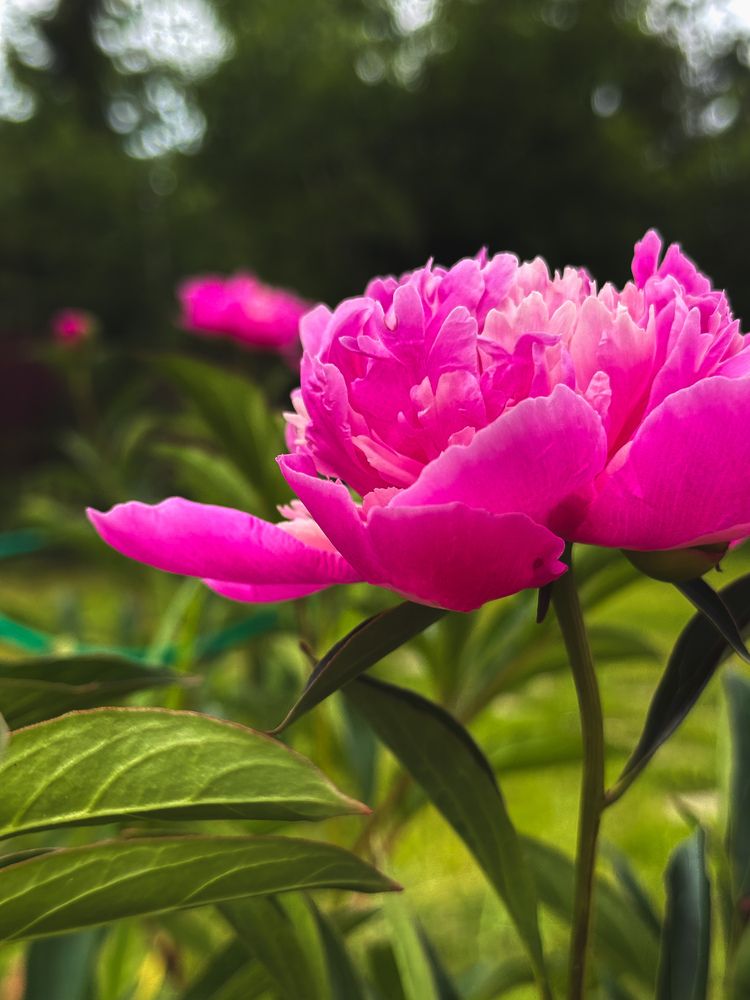 Фотография автора Татьяна Буянова