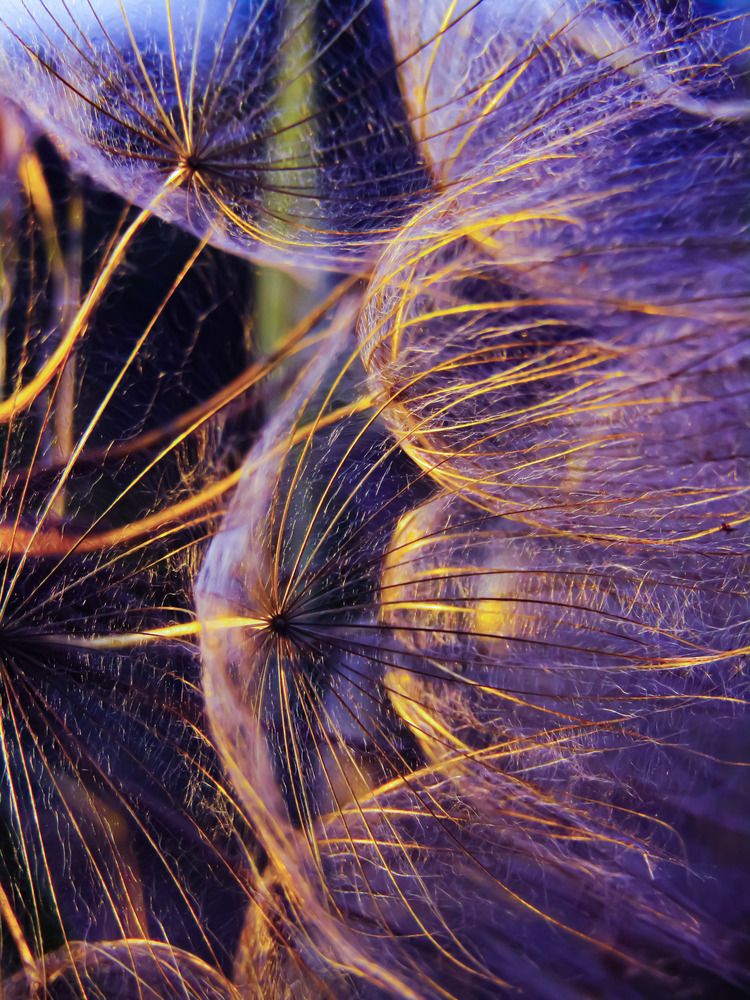 Photograph by Раиса Грабко