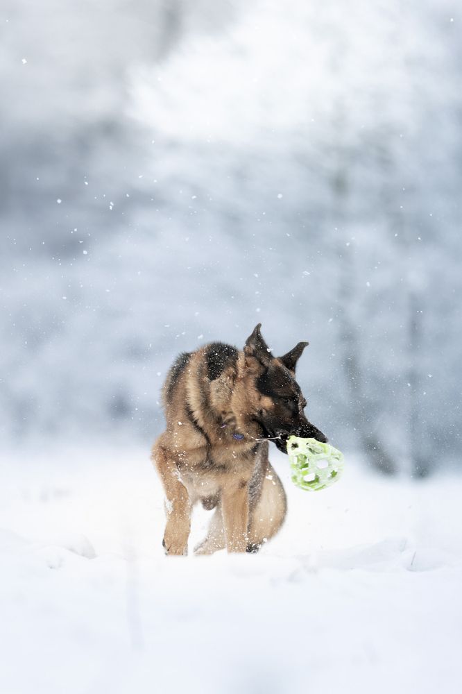 Photograph by Mateusz Chojnacki
