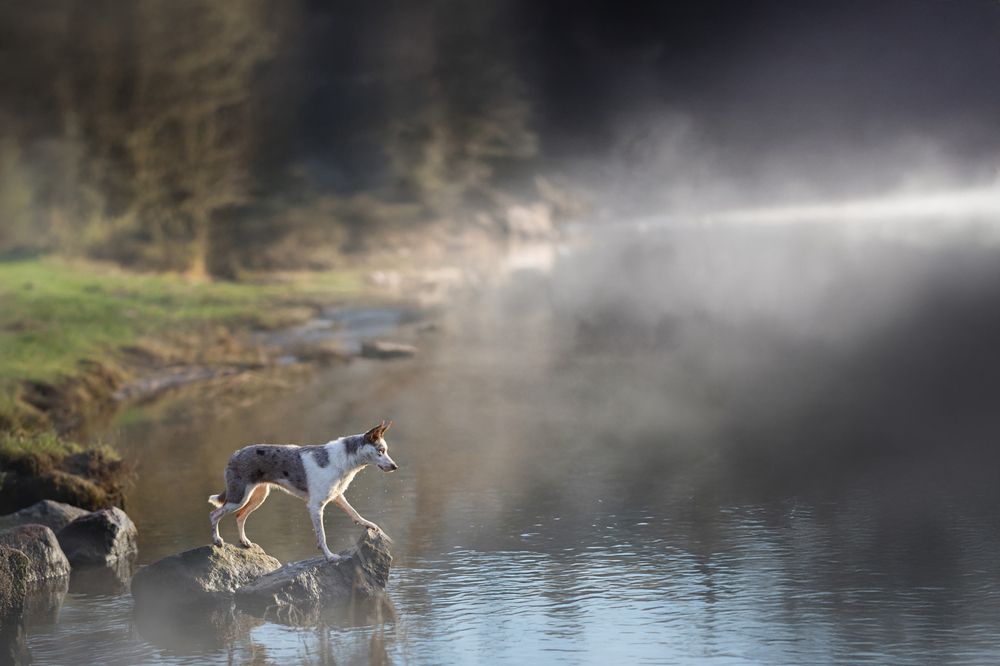 Photograph by Mateusz