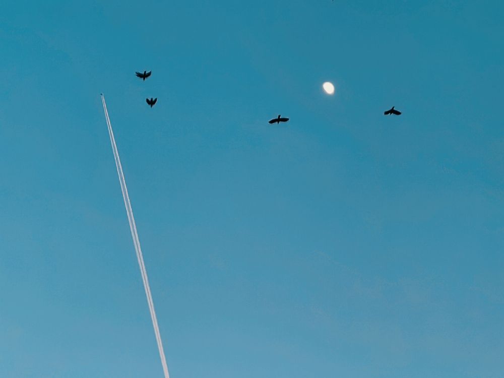 Photograph by Ирина Скворцова
