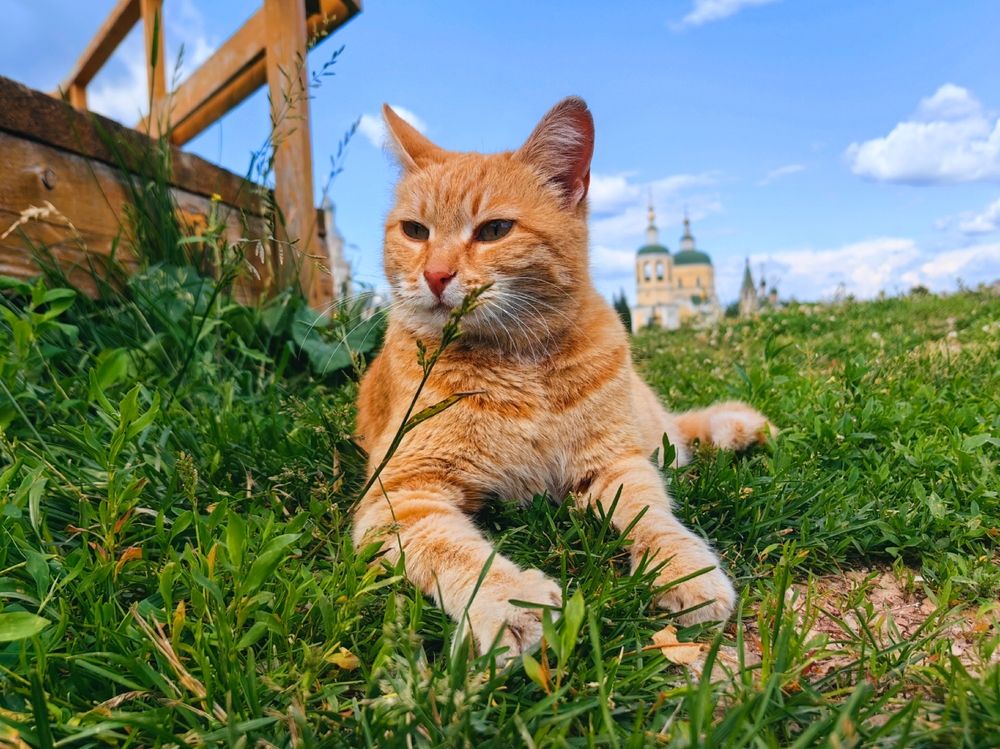 Photograph by Ирина Скворцова