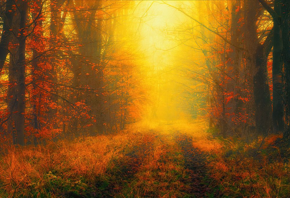 Photograph by Владимир