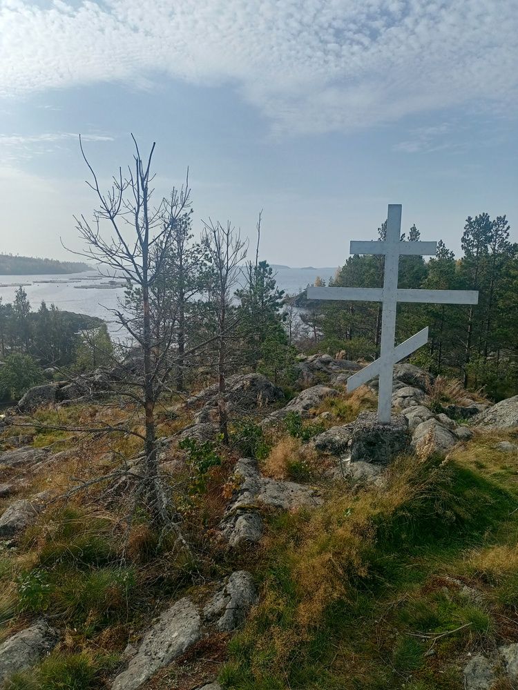 Photo #12282338